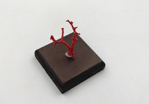 ΚΟΡΑΛΙ ΚΟΡΑΛΙ