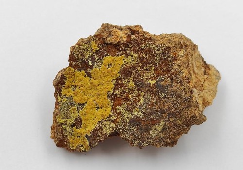 ΜΙΜΗΤΙΤΗΣ ΛΑΥΡΙΟΥ ΜΙΜΗΤΙΤΗΣ ΛΑΥΡΙΟΥ