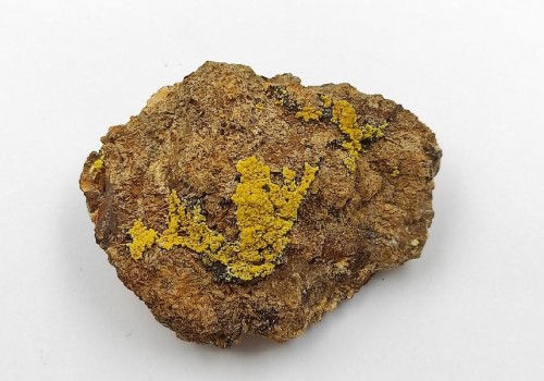 ΜΙΜΗΤΙΤΗΣ ΛΑΥΡΙΟΥ ΜΙΜΗΤΙΤΗΣ ΛΑΥΡΙΟΥ