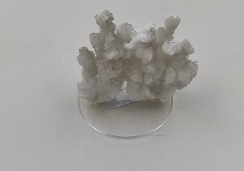 ΑΡΑΓΩΝΙΤΗΣ ΛΑΥΡΙΟΥ