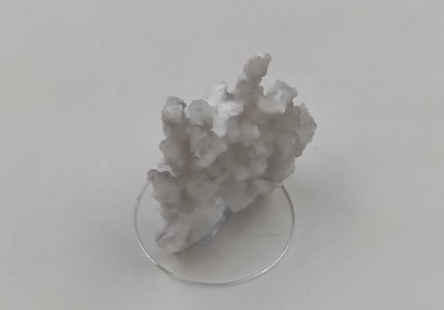 ΑΡΑΓΩΝΙΤΗΣ ΛΑΥΡΙΟΥ