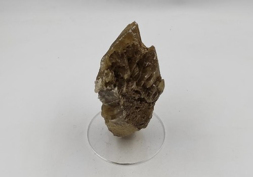 ΣΕΛΕΝΙΤΗΣ ΛΑΥΡΙΟΥ