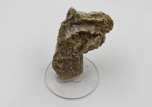 ΣΕΛΕΝΙΤΗΣ ΛΑΥΡΙΟΥ