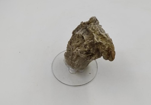 ΣΕΛΕΝΙΤΗΣ ΛΑΥΡΙΟΥ ΣΕΛΕΝΙΤΗΣ ΛΑΥΡΙΟΥ