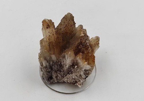 ΣΕΛΕΝΙΤΗΣ ΛΑΥΡΙΟΥ