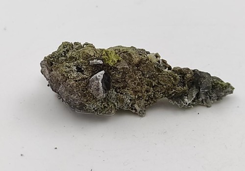 ΕΠΙΔΟΤΟ ΞΑΝΘΗΣ