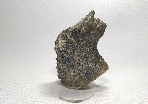 ΛΑΒΡΑΔΟΡΙΤΗΣ ΛΑΒΡΑΔΟΡΙΤΗΣ