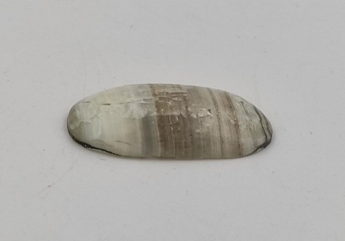 ΚΑΜΠΟΥΣΟΝ ΑΡΑΓΩΝΙΤΗΣ