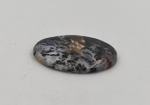 ΚΑΜΠΟΥΣΟΝ ΔΕΝΔΡΙΤΗΣ ΑΧΑΤΗΣ