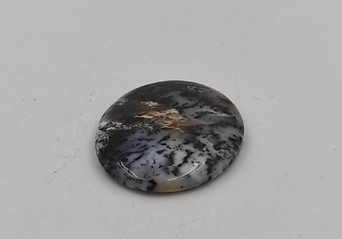 ΚΑΜΠΟΥΣΟΝ ΔΕΝΔΡΙΤΗΣ ΑΧΑΤΗΣ