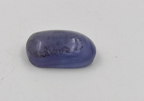 ΚΑΜΠΟΥΣΟΝ ΦΘΟΡΙΤΗΣ