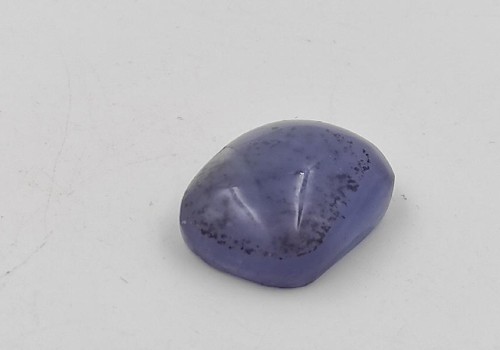 ΚΑΜΠΟΥΣΟΝ ΦΘΟΡΙΤΗΣ