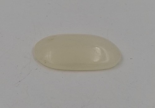 ΚΑΜΠΟΥΣΟΝ ΚΑΛΣΙΤΗΣ