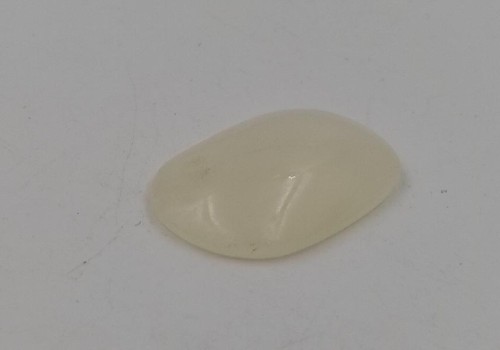 ΚΑΜΠΟΥΣΟΝ ΚΑΛΣΙΤΗΣ