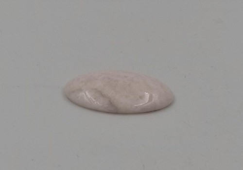 ΚΑΜΠΟΥΣΟΝ ΡΟΔΟΧΡΩΣΙΤΗΣ