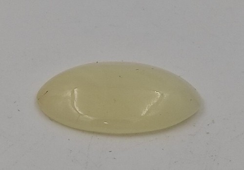 ΚΑΜΠΟΥΣΟΝ ΣΜΙΣΤΟΝΙΤΗΣ