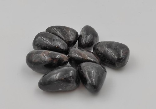 ΑΝΘΟΦΥΛΛΙΤΗΣ