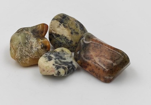 ΟΠΑΛΙΟ ΔΕΝΔΡΙΤΙΚΟ